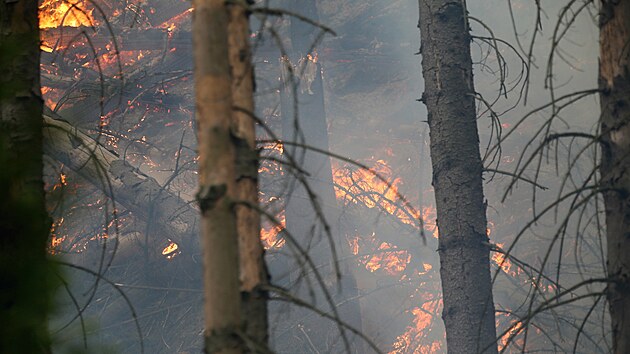 Lesní požár v Národním parku České Švýcarsko u Hřenska (26. července 2022)