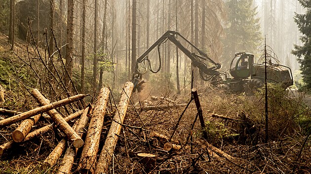 Po��r v N�rodn�m parku �esk� �v�carsko. Ha�en� po��r� n�rodn�ho parku je st�le v pln�m proudu. Nasazen� je ve�ker� technika. Aby lesn�ci zamezili jeho dal��mu ���en�, v noci na st�edu zapojili do akce n�kolik harvestor�. (28. �ervence 2022)