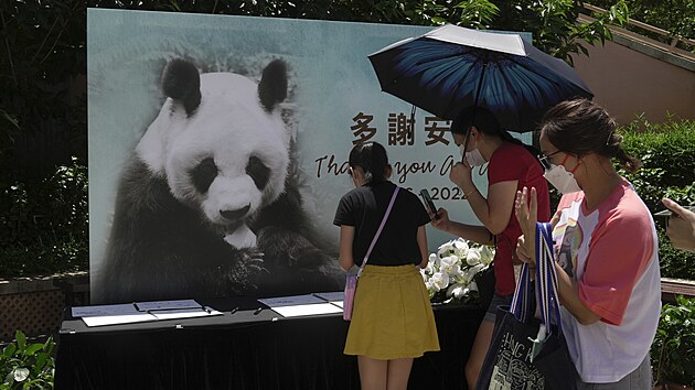 An An, nejstar ijc panda velk chovan v zajet, se doila 35 let.