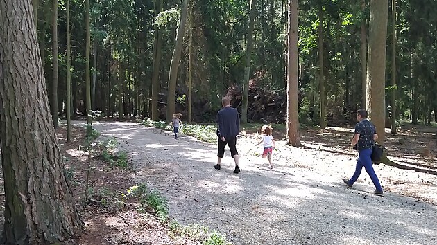 Nová lesní naučná stezka u Stříbrného rybníka je určena hlavně pro předškolní a mladší školní děti.