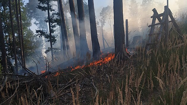 Při požáru lesa u Přílep komplikoval práci hasičů těžko přístupný terén. (25. červenec 2022)