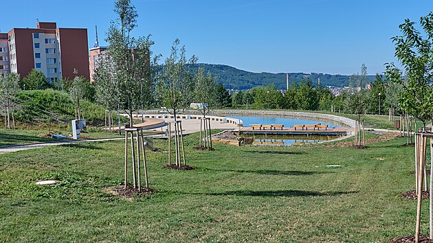 Vodní biotop v Centrálním parku na Jižních Svazích ve Zlíně (červenec 2022)