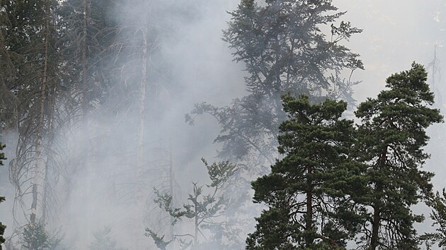 Lesní požár v Národním parku České Švýcarsko u Hřenska. 26. července 2022