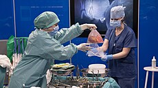 pikové pracovit V praském IKEM v roce 2021 provedli 41 transplantací...