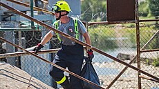 Hasi�i vytahují z �eky Dyje uhynulé ryby. (�ervenec 2022)