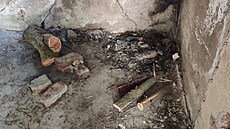 �ivelná ohni�t� v národní p�írodní rezervaci Rolavská vrchovi�t�. (28. �ervence...