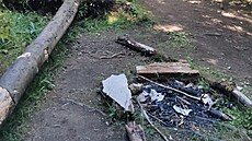 �ivelná ohni�t� v národní p�írodní rezervaci Rolavská vrchovi�t�. (28. �ervence...