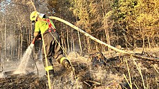 Rozsáhlý lesního požár ve vojenském prostoru Libavá nedaleko Staměřic. Jde o... | na serveru Lidovky.cz | aktuální zprávy