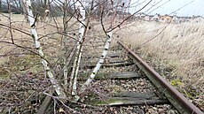 Zanedbanou �elezni�ní tra� mezi Polnou a Dobronínem pohlcuje vegetace. Vlak...