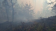 Zásah hasi v Národním parku eské výcarsko pokrauje. (25. ervence 2022)