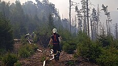 Zásah hasičů v Národním parku České Švýcarsko pokračuje. (25. července 2022)