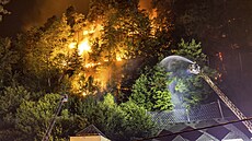 Příčina požáru zatím není známá, šéf parku Pavel Benda viní ze vzniku ohně...