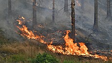 Požár v Národním parku České Švýcarsko u Hřenska, (26. července 2022) | na serveru Lidovky.cz | aktuální zprávy