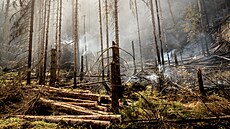 Požár v Národním parku České Švýcarsko. (28. července 2022)