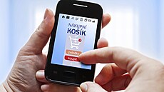 �e�i b�hem druhého �tvrtletí leto�ního roku utratili v on-line obchodech 52,92...