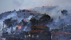 Hasi�i bojující s lesním po�árem na jihozápad� Francie. (18. �ervence 2022)