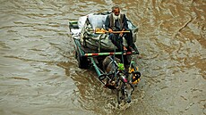 Pákistánec na povozu taženém oslem uprostřed zatopené ulice v Péšávaru (21....