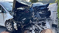 Po nehodě dvou osobních aut u Bašti u Prahy jsou čtyři zranění včetně dětí....