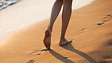 Ilustra�ní fotografie