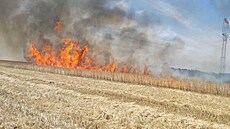 Požár pole u Nedražic na Tachovsku. (20. července 2022)