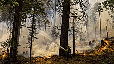Hasii v americkém stát Kalifornie bojují s rychle se íícím lesním poárem,...