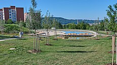 Vodní biotop v Centrálním parku na Jiních Svazích ve Zlín (ervenec 2022)