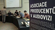 Asociace producentů v audiovizi