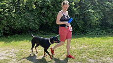 Na táboře v Ostružně na Jičínsku se zájemci učí lépe vycházet se svým psem....