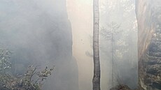 Několik jednotek hasičů zasahuje v u obce Božanov na Broumovsku, z lesa vychází...