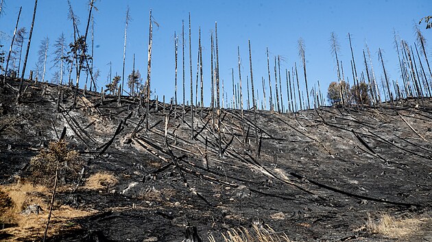 Kromě samotného národního parku zasáhly plameny také okolní obce. Ministerstvo životního prostředí zasaženým obcím pomůže s likvidací škod a s obnovou infrastruktury. Prozatím na obnovu vyčlenilo sto milionů. (31. července 2022)