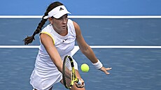 �eská tenistka Dominika �alková.