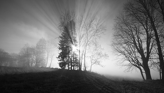 Ukázka jedné z fotografií, které jsou k vidní na výstav Sudety, svty v mlze.