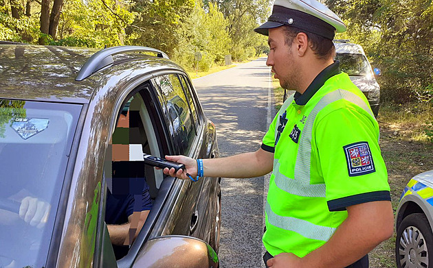 Policisté kontrolují odjíždějící návštěvníky festivalu v Milovicích. (6. srpna...