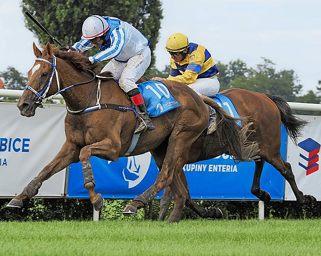 Player je hráč. Ovládl třetí kvalifikační dostih na Velkou pardubickou