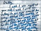 Brian Laundrie se ped sebevradou ve svém zápisníku na osmi stranách piznal k...