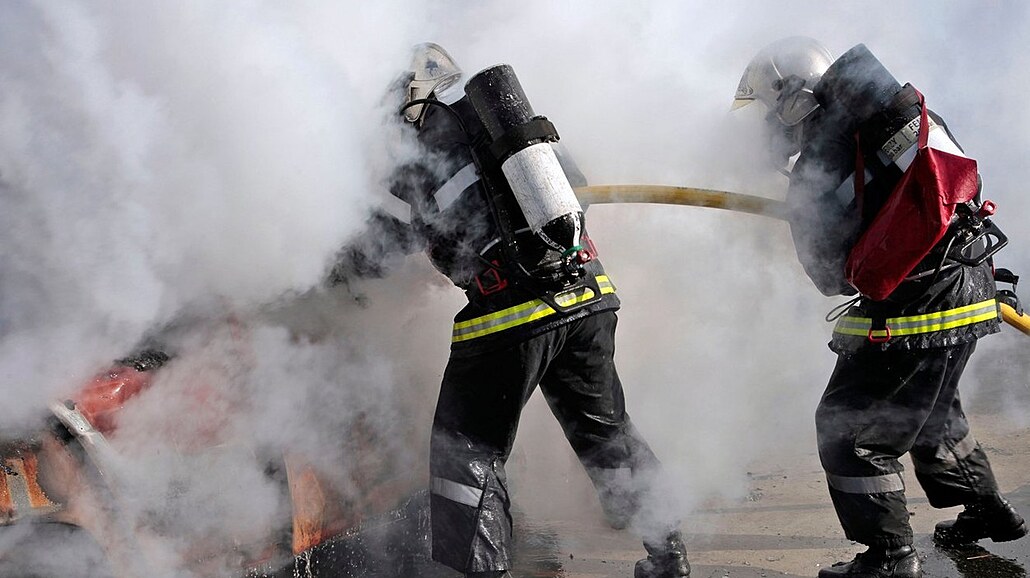Francouztí hasii. Ilustraní foto.