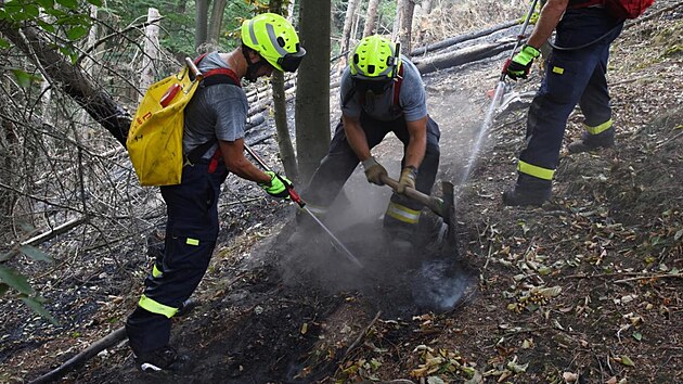 Zsah hasi v eskm vcarsku (2. srpna 2022)