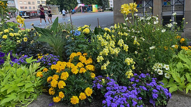 Zlín nechal na počest výročí ve městě vysázet květiny ve žlutých a modrých barvách.