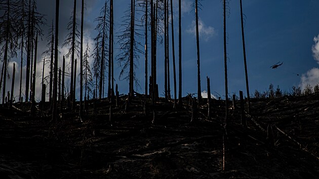 Požár v Národním parku České Švýcarsko. (1. srpna 2022)