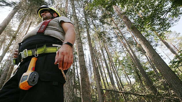 Požár Národního parku České Švýcarsko - shořelý les nad Dlouhým vrchem poblíž obce Růžová na Děčínsku (9. srpna 2022)