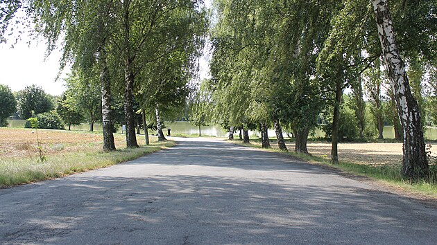 Jedna z cyklostezek, jež v Pelhřimově a okolí brzy začnou vznikat, obkrouží rybník Stráž.