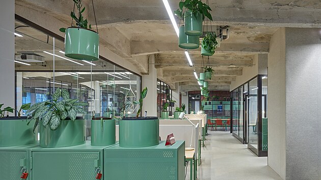 Tovrn zelen barva a skky pipomnajc vybaven v atnch dlnk  tak vypad nov coworkingov centrum v Olomouci.