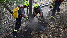 Zásah hasičů v Českém Švýcarsku (2. srpna 2022)