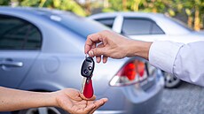 Ne ka�dý Evropan si m��e v�z dovolit vlastnit, nebo ho u�ivit. 