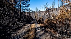 Po�ár v Národním parku �eské �výcarsko. (3. srpna 2022)