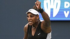 Amerianka Serena Williamsová na turnaji v Torontu