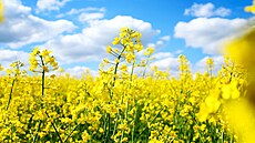 ilustra�ní snímek