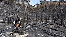 Plocha poáru v Národním parku eské výcarsko se zmenila na 154 hektar. (8....