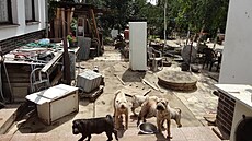 Venkovní prostory mno�írny, kterou p�i kontrole odhalili inspekto�i veterinární...