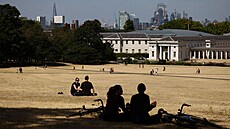 Zelené londýnské trávníky po vln veder a sucha zeloutly. (6. srpna 2022)